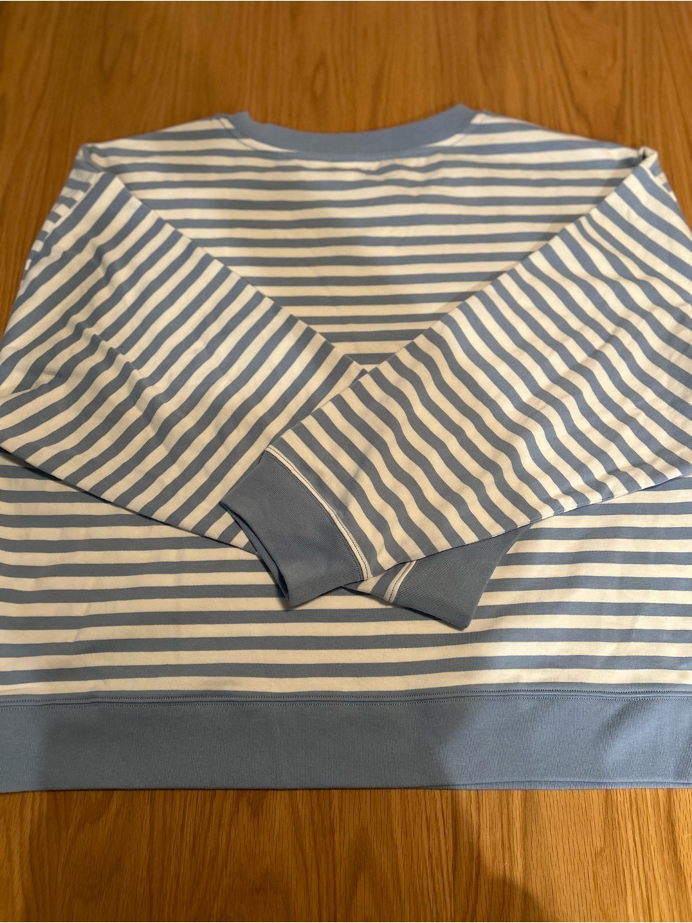 Aritzia Mighty Cotton Wicket Longsleeve - Light Birch / Ripple BIue Size XL NWOT - Picture 8 of 14